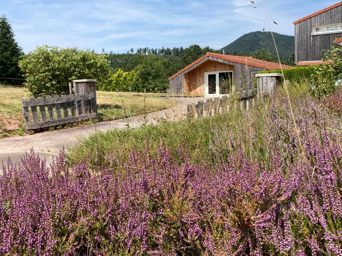 Le Chalet Dans La Nature Saulcy-sur-Meurthe Zewnętrze zdjęcie